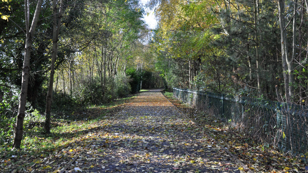 Great reasons to live in Silverdale, NewcastleunderLyme